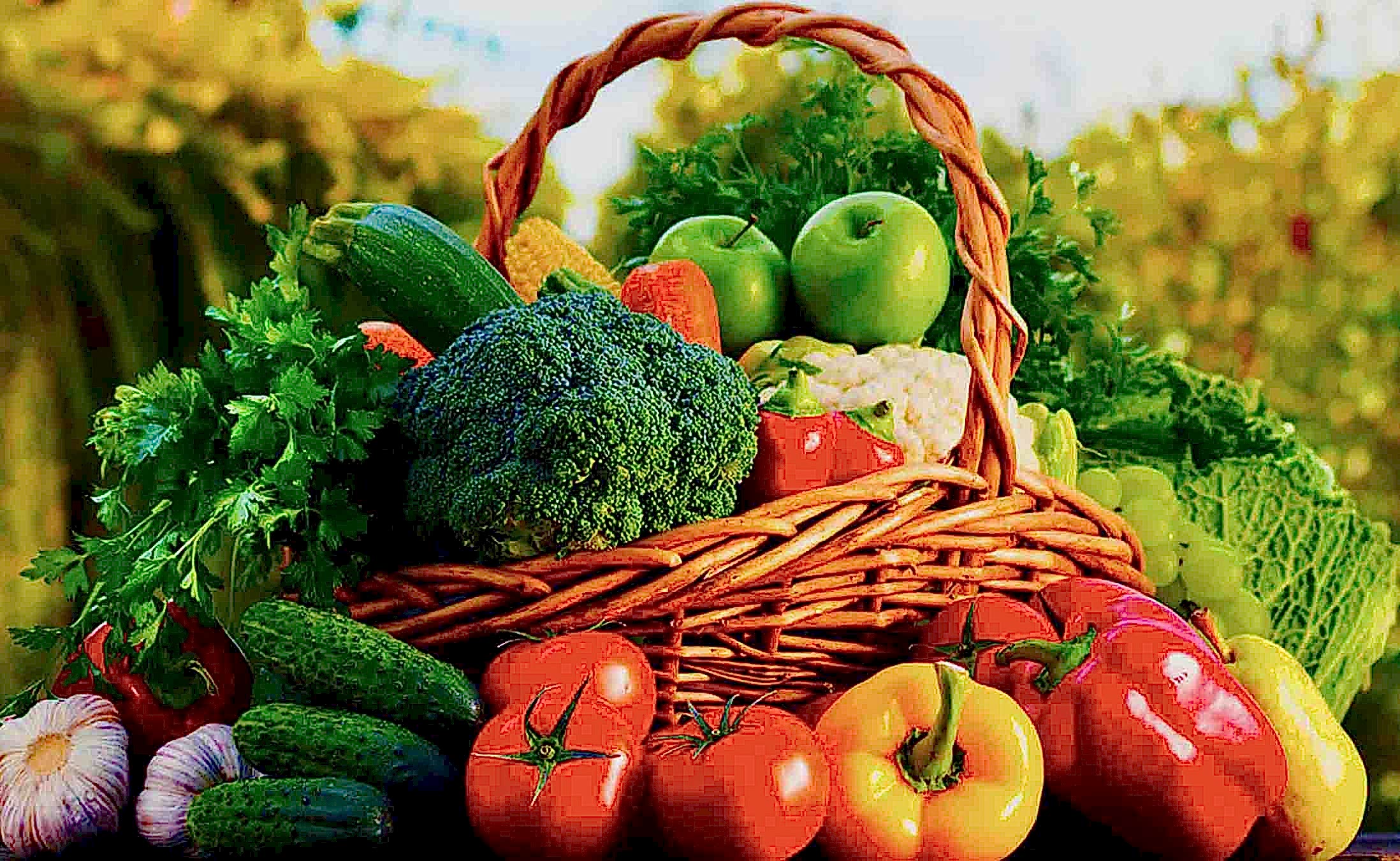 Better Efficiency in Agriculture and Horticulture with ISIJET heaters