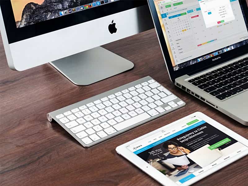 Our Website Has Been Renewed